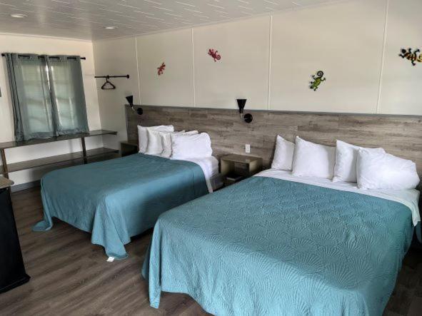 Swell Motel باكستون المظهر الخارجي الصورة